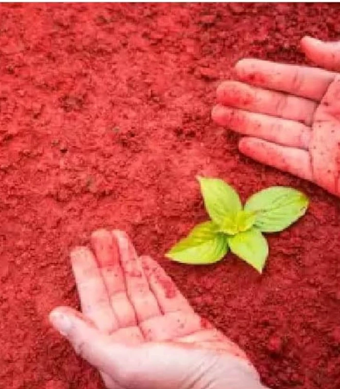 Red soil - ఎర్ర మట్టి - Image 2