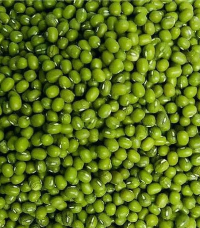 Green Gram – పెసలు - Image 3