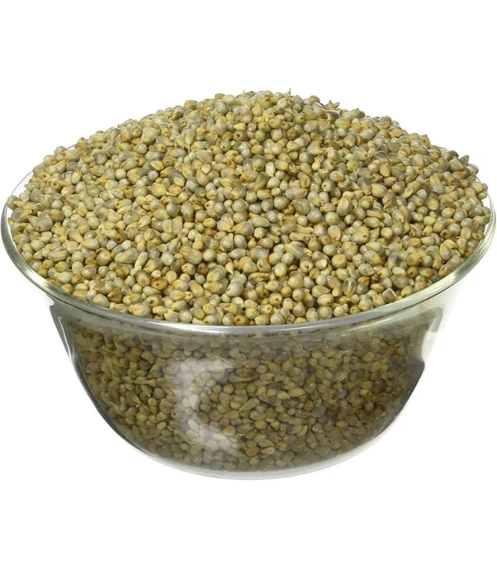 Bajra (Sajjalu) – సజ్జలు - Image 4