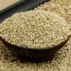Bajra (Sajjalu) – సజ్జలు