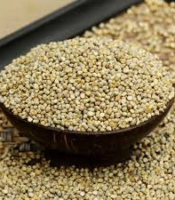 Bajra (Sajjalu) – సజ్జలు