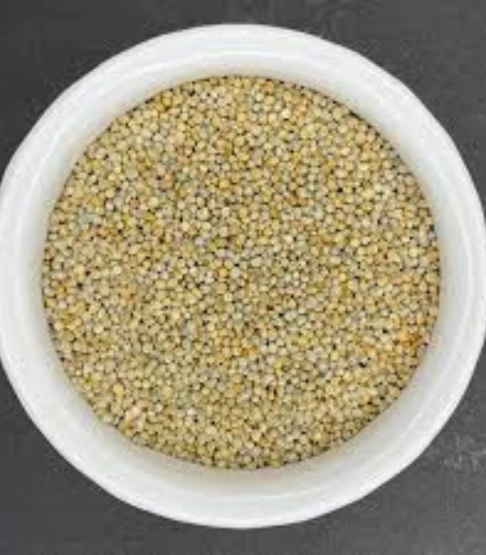 Bajra (Sajjalu) – సజ్జలు - Image 2