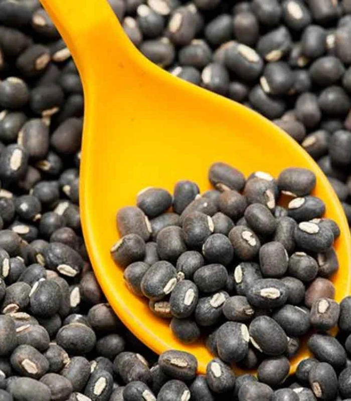 Black Gram (Urad Dal) – మినుములు