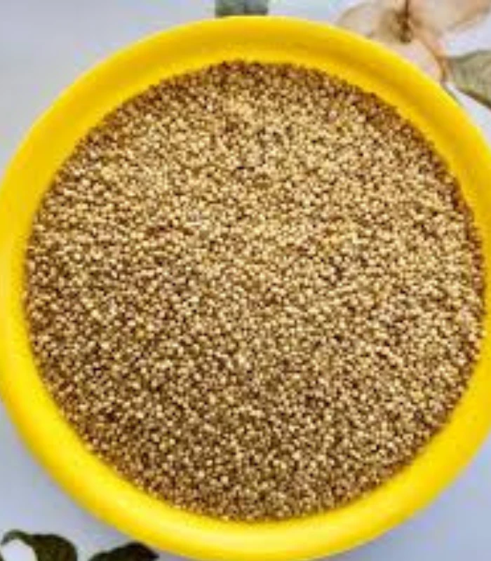 Foxtail Millet (korra) – కొర్ర - Image 2
