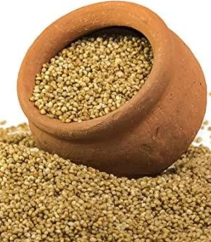 Kodo Millet (Arikelu) – ఆరికెలు - Image 3