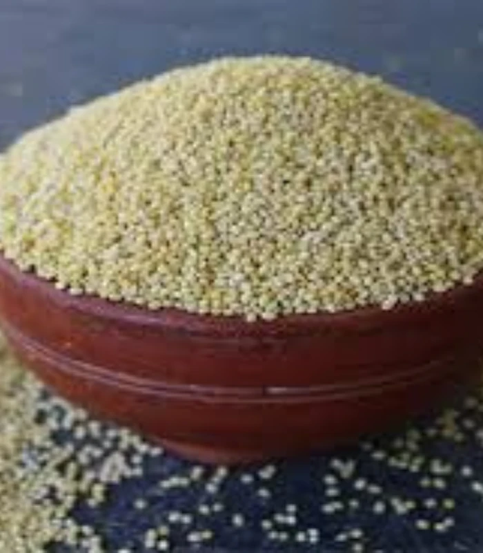 Kodo Millet (Arikelu) – ఆరికెలు - Image 2