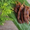 Tamarind – చింతపండు