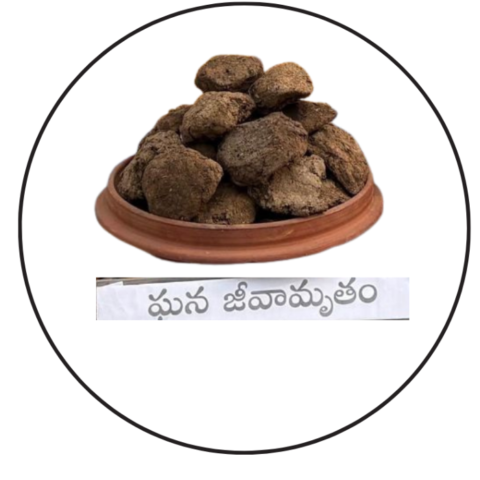 Meenamruth –   మీనామృతం