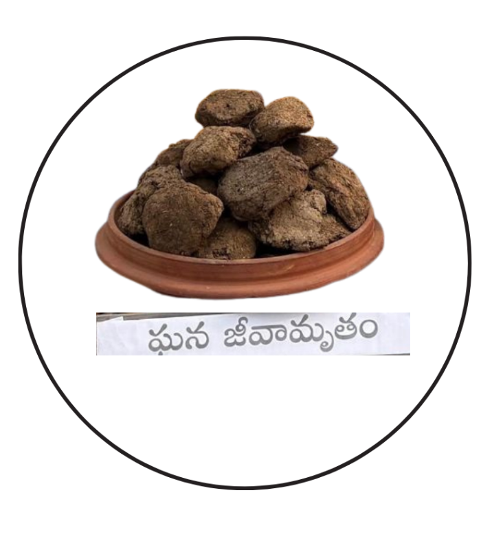 Meenamruth – మీనామృతం